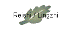 Reishi / Lingzhi